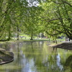 04 octobre | Temps de prière œcuménique