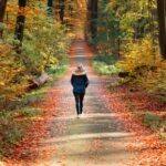 12 octobre | Prier en marchant dans la forêt de Soignes
