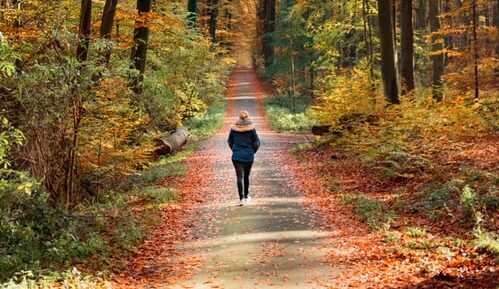 12 octobre | Prier en marchant dans la forêt de Soignes