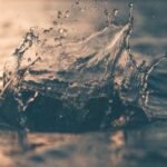 02 octobre | Conférence : "Water - too much, too little"