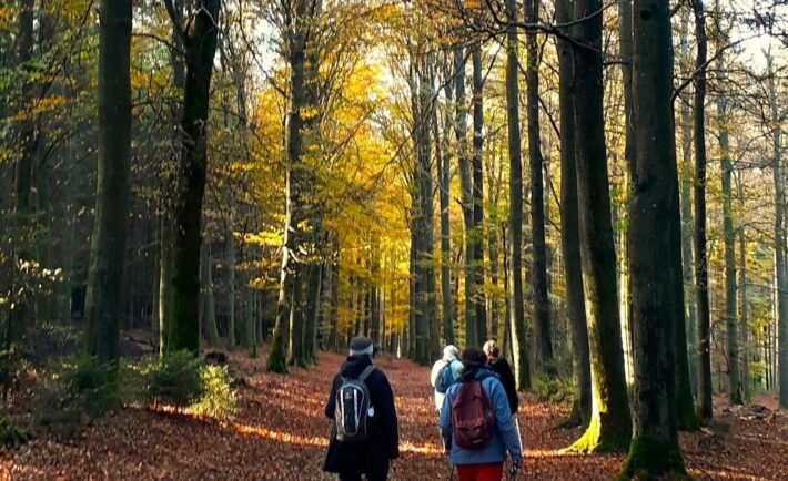 26 avril | Marche-prière en forêt de Soignes