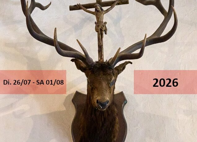 26 juillet au 01 août | Colonie Saint Hubert